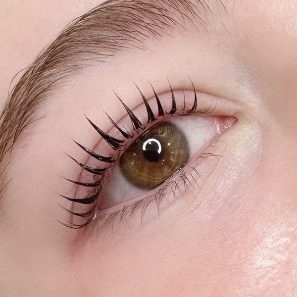 Lash Lift and Tint
